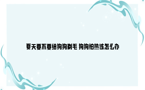 夏天要不要给狗狗剃毛 狗狗怕热该怎么办