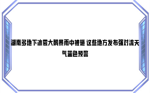 湖南多地下冰雹大鹅暴雨中被砸 这些地方发布强对流天气蓝色预警