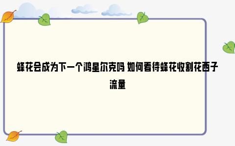 蜂花会成为下一个鸿星尔克吗 如何看待蜂花收割花西子流量