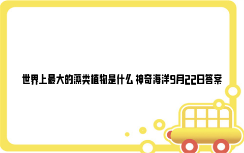 世界上最大的藻类植物是什么 神奇海洋9月22日答案