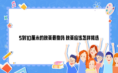 5到10厘米的秋葵最嫩吗 秋葵应该怎样挑选