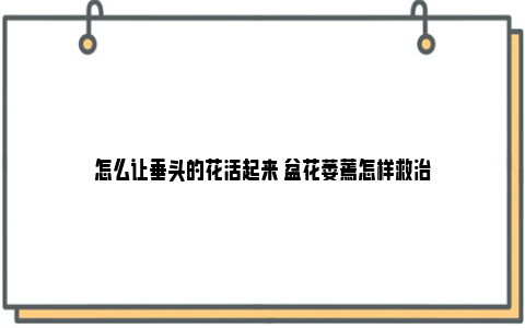 怎么让垂头的花活起来 盆花萎蔫怎样救治