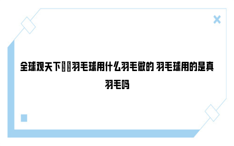 全球观天下|​羽毛球用什么羽毛做的 羽毛球用的是真羽毛吗