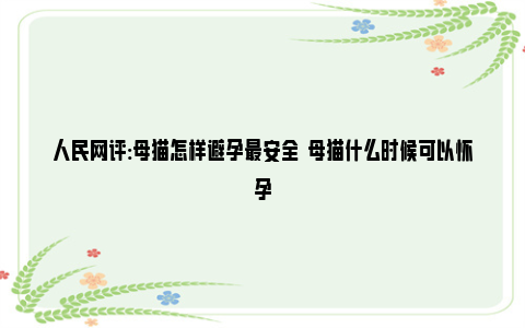 人民网评:母猫怎样避孕最安全  母猫什么时候可以怀孕