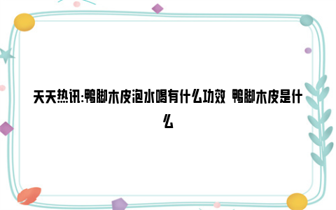 天天热讯:鸭脚木皮泡水喝有什么功效  鸭脚木皮是什么