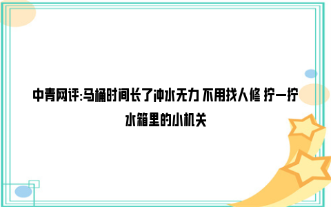 中青网评:马桶时间长了冲水无力 不用找人修 拧一拧水箱里的小机关