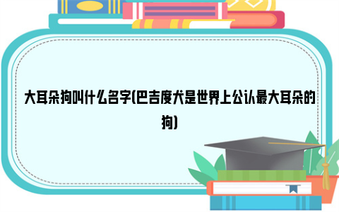 大耳朵狗叫什么名字（巴吉度犬是世界上公认最大耳朵的狗）