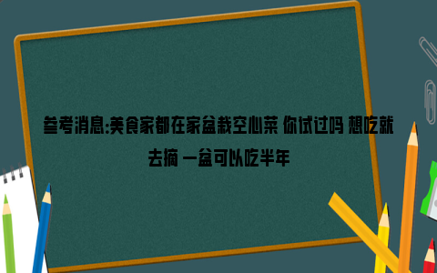 参考消息：美食家都在家盆栽空心菜 你试过吗 想吃就去摘 一盆可以吃半年