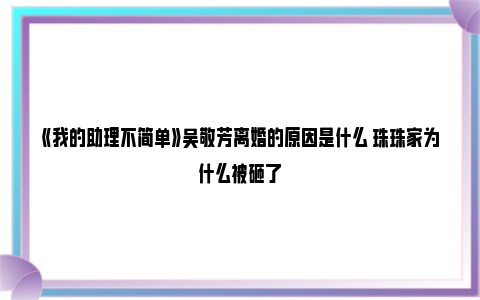 《我的助理不简单》吴敬芳离婚的原因是什么 珠珠家为什么被砸了