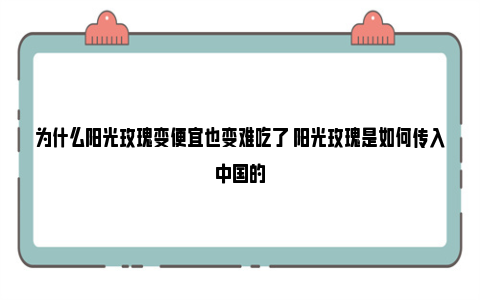 为什么阳光玫瑰变便宜也变难吃了 阳光玫瑰是如何传入中国的