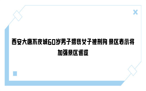 西安大唐不夜城60岁男子猥亵女子被刑拘 景区表示将加强景区巡逻