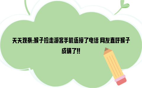 天天观察：猴子捡走游客手机还接了电话 网友直呼猴子成精了！！