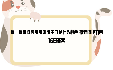 猜一猜斑海豹宝宝刚出生时是什么颜色 神奇海洋11月16日答案