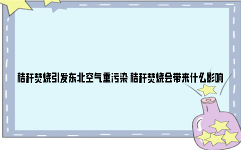 秸秆焚烧引发东北空气重污染 秸秆焚烧会带来什么影响