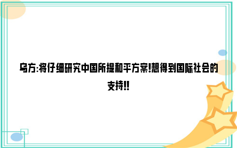 乌方:将仔细研究中国所提和平方案！想得到国际社会的支持！！