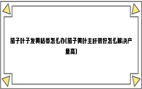 茄子叶子发黄枯萎怎么办（茄子黄叶主杆很好怎么解决产量高）