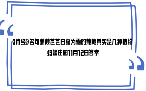 《诗经》名句蒹葭苍苍白露为霜的蒹葭其实是几种植物 蚂蚁庄园11月12日答案