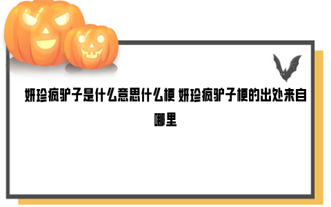 妍珍疯驴子是什么意思什么梗 妍珍疯驴子梗的出处来自哪里