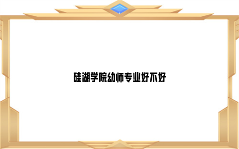 硅湖学院幼师专业好不好