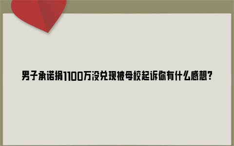 男子承诺捐1100万没兑现被母校起诉你有什么感想？