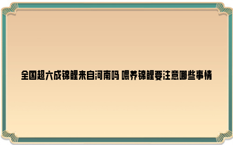 全国超六成锦鲤来自河南吗 喂养锦鲤要注意哪些事情