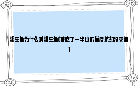 翻车鱼为什么叫翻车鱼（被吃了一半也不懂反抗却没灭绝）