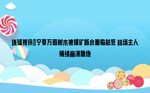 环球视讯|宁夏万亩树木被煤矿断水面临枯死 林场主人情绪崩溃跪地