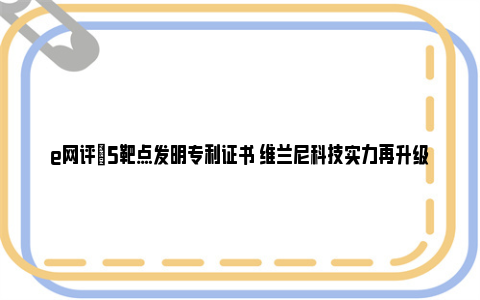 e网评|5靶点发明专利证书 维兰尼科技实力再升级