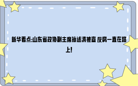 新华看点：山东省政协副主席孙述涛被查 反腐一直在路上！