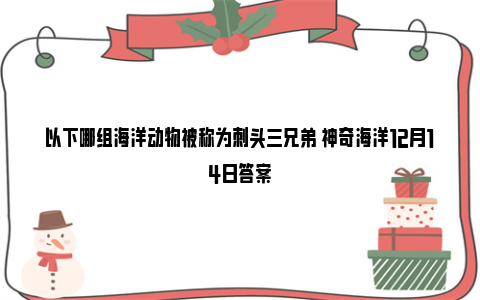 以下哪组海洋动物被称为刺头三兄弟 神奇海洋12月14日答案