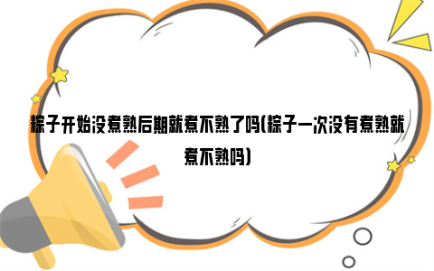 粽子开始没煮熟后期就煮不熟了吗（粽子一次没有煮熟就煮不熟吗）