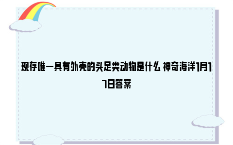 现存唯一具有外壳的头足类动物是什么 神奇海洋1月17日答案