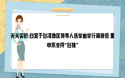 天天实时：白宫于台湾地区领导人选举前举行简报会 重申不支持“台独”