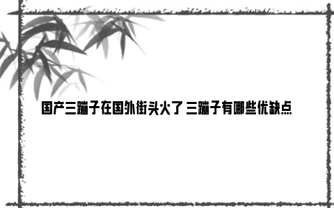 国产三蹦子在国外街头火了 三蹦子有哪些优缺点