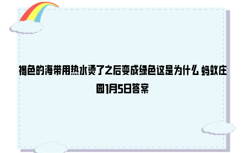 褐色的海带用热水烫了之后变成绿色这是为什么 蚂蚁庄园1月5日答案