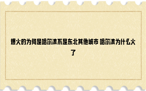 爆火的为何是哈尔滨不是东北其他城市 哈尔滨为什么火了