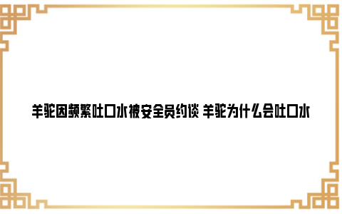 羊驼因频繁吐口水被安全员约谈 羊驼为什么会吐口水