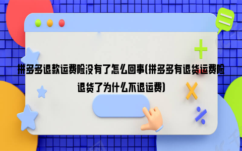 拼多多退款运费险没有了怎么回事（拼多多有退货运费险退货了为什么不退运费）