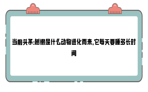 当前头条：树懒是什么动物进化而来，它每天要睡多长时间