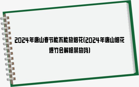 2024年唐山春节能不能放烟花（2024年唐山烟花爆竹会解除禁放吗）