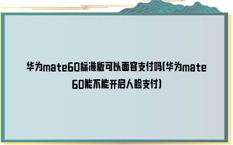 华为mate60标准版可以面容支付吗（华为mate60能不能开启人脸支付）