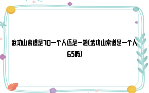 武功山索道是70一个人还是一趟（武功山索道是一个人65吗）