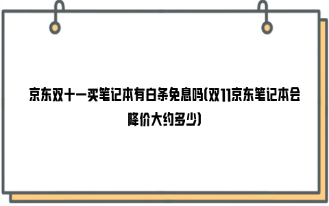 京东双十一买笔记本有白条免息吗（双11京东笔记本会降价大约多少）