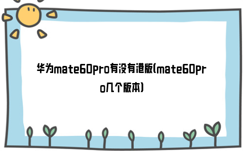 华为mate60pro有没有港版（mate60pro几个版本）