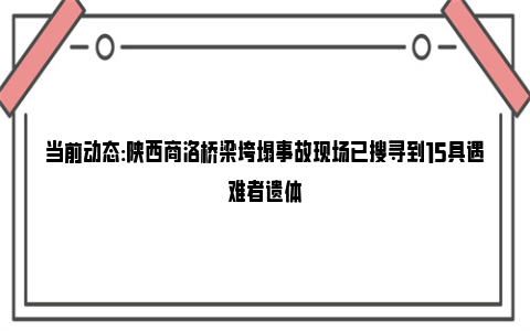 当前动态:陕西商洛桥梁垮塌事故现场已搜寻到15具遇难者遗体