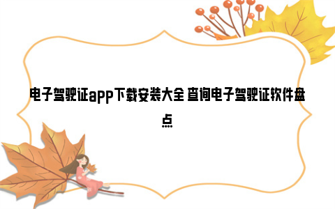 电子驾驶证app下载安装大全 查询电子驾驶证软件盘点