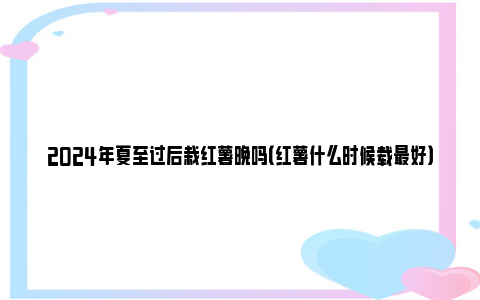 2024年夏至过后栽红薯晚吗（红薯什么时候载最好）