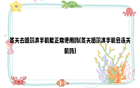 冬天去哈尔滨手机能正常使用吗（冬天哈尔滨手机会冻关机吗）