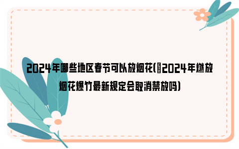 2024年哪些地区春节可以放烟花（​2024年燃放烟花爆竹最新规定会取消禁放吗）