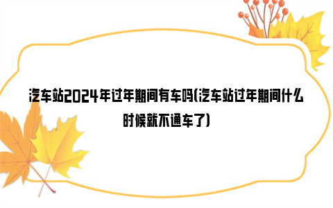 汽车站2024年过年期间有车吗（汽车站过年期间什么时候就不通车了）